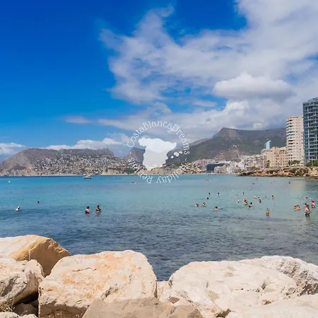 Real Ifach, Sardinas